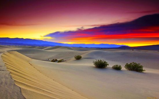 Рассвет в пустыне (66 фото)
