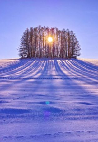 Снежное поле (87 фото)