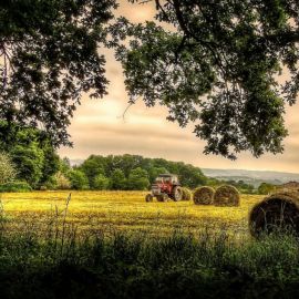 Трактор в поле (98 фото)