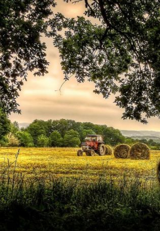 Трактор в поле (98 фото)