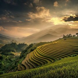 Рисовые поля Бали (63 фото)
