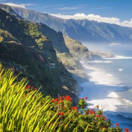Мадейра остров (80 фото)