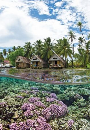 Остров Таити (70 фото)