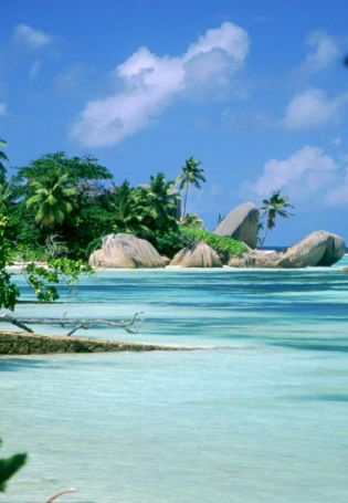 Остров Гоа (80 фото)