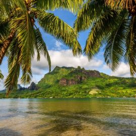 Остров с пальмами (80 фото)