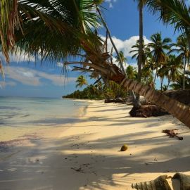Пляжи Доминиканы (66 фото)