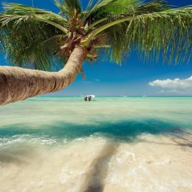 Доминикана пляж (109 фото)