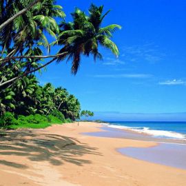 Шри Ланка пляжи (57 фото)