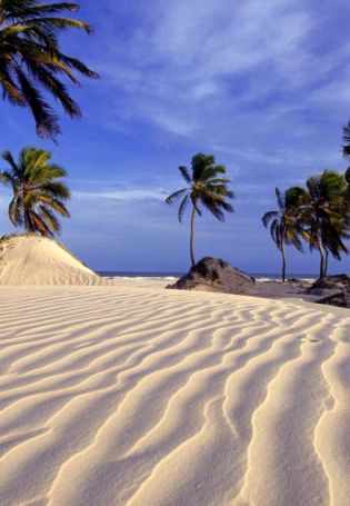 Пляж с белым песком (80 фото)