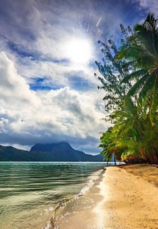 Тропический пляж (73 фото)