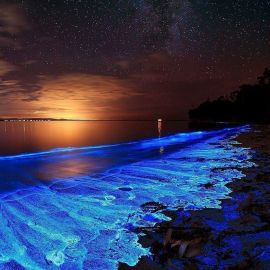 Море ночью (60 фото)
