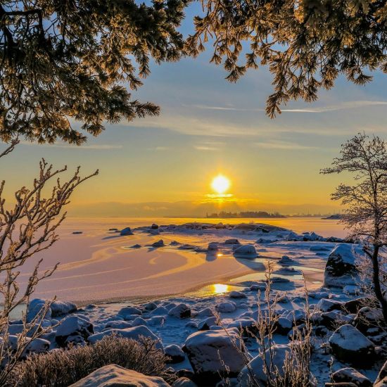 Финский залив зимой (91 фото)