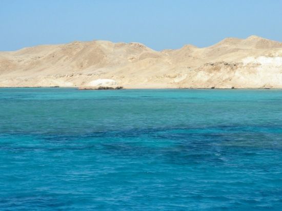 Красное море Египет (98 фото)
