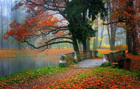 Осенний парк (70 фото)