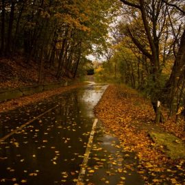 Осень дождь (72 фото)