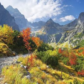 Осень в горах (62 фото)