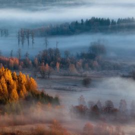 Осенний туман (70 фото)