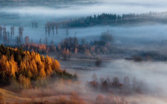 Осень туман (85 фото)