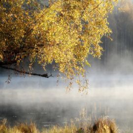 Осенняя рапсодия (91 фото)