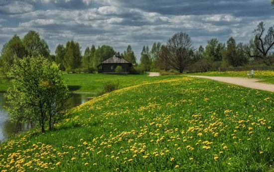 Весна в деревне (97 фото)