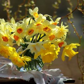 Букет весенних цветов (83 фото)