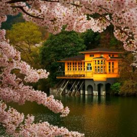 Весна в Японии (91 фото)