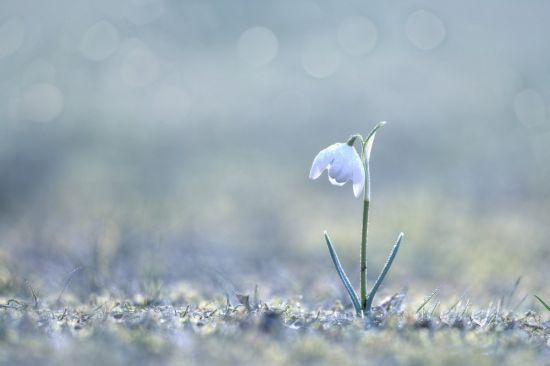Весна Минимализм (75 фото)
