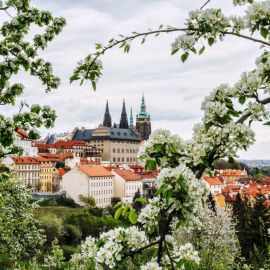 Прага весной (59 фото)