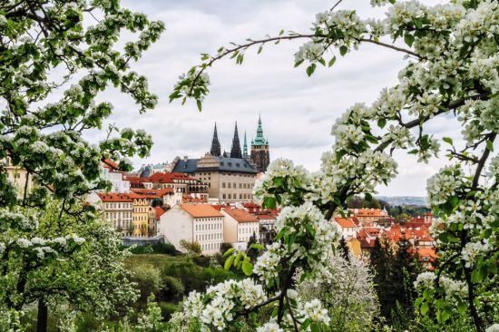 Прага весной (59 фото)