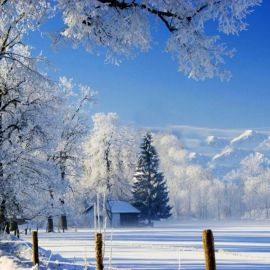Природа зима (140 фото)