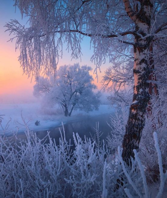 Красивое зимнее утро (134 фото)