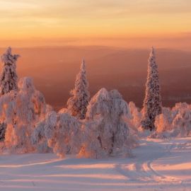 Зима в России (140 фото)