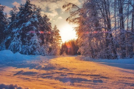 Красивое утро зима (137 фото)