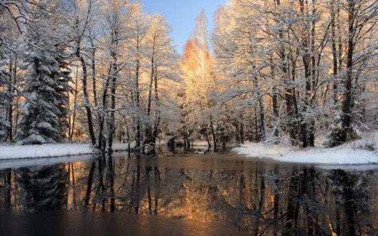 Ранняя зима (137 фото)