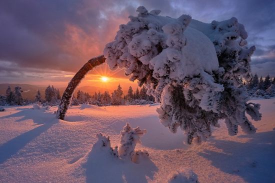 Зимнее солнцестояние (129 фото)
