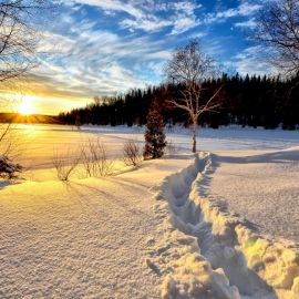 Зимнее утро пейзаж (92 фото)