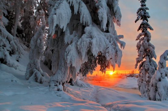 Волшебная зима (85 фото)