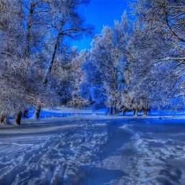 Заставка зимний пейзаж (93 фото)