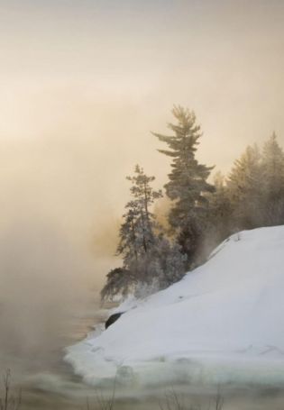 Туман зимой (83 фото)