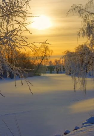Утро природа зима (84 фото)