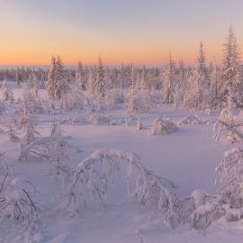 Тундра зимой (77 фото)