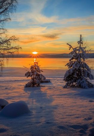 Рассвет зимой (87 фото)