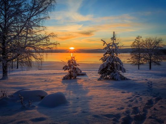 Рассвет зимой (87 фото)