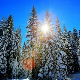 День зимнего солнцестояния (90 фото)