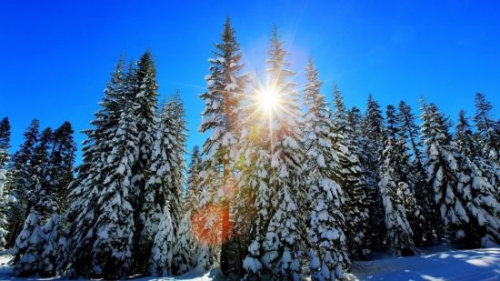 День зимнего солнцестояния (90 фото)