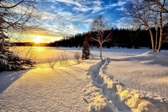 Солнечная зима (68 фото)