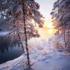 Чудесного зимнего утра (42 фото)