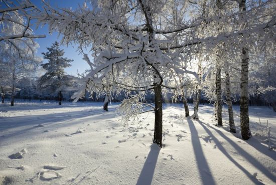 Зима в России реальные (60 фото)