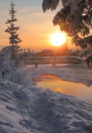 Зима в Сибири (40 фото)