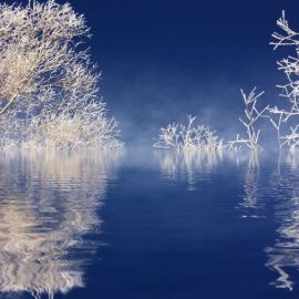 Зимняя фантазия (60 фото)